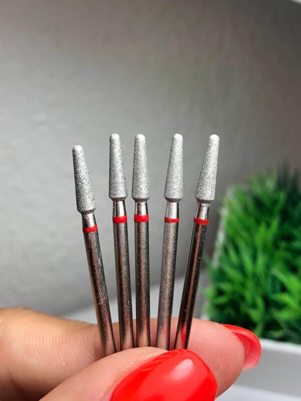 D CONO M31R 1 64638006 2803647386374380 5784646466047836160 n