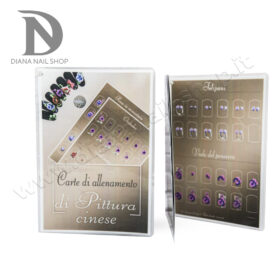 CARTE ALLENAMENTO PITTURA CINESE