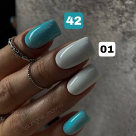 gel semipermanente n.42