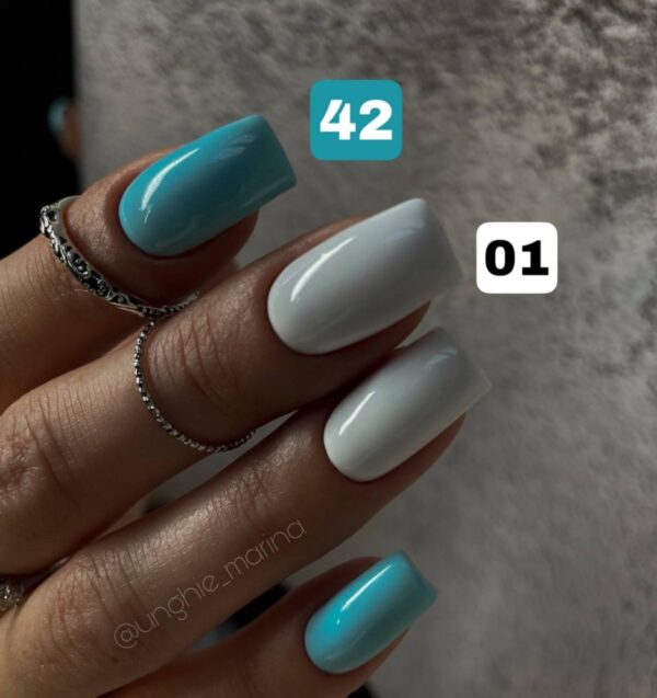 gel semipermanente n.42