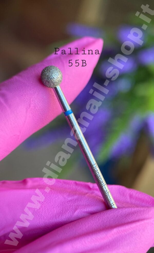 PALLINA-055B-1