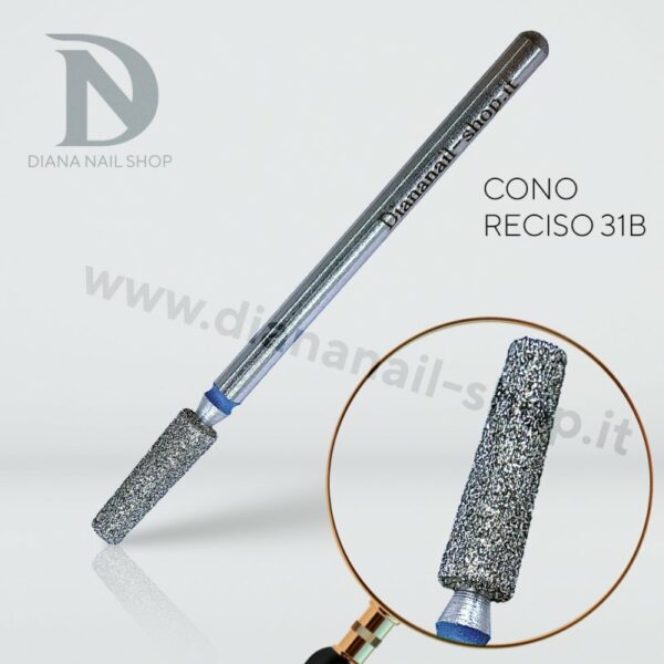 CONO RECISO 31B