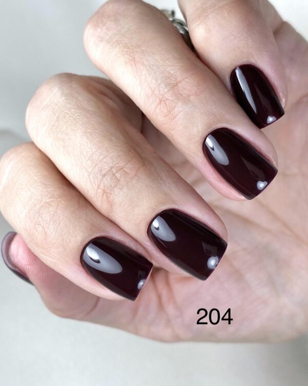 GEL SEMIPERMANENTE N.204