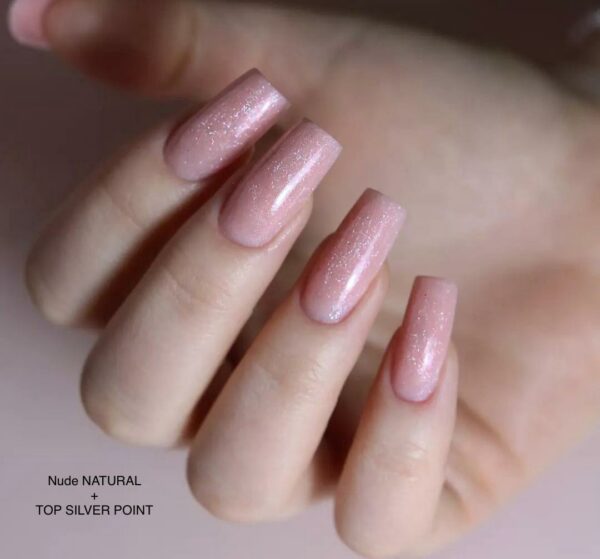ACRYGEL NUDE NATURAL(60gr) + TOP SILVER POINT GLOSS (15ml)