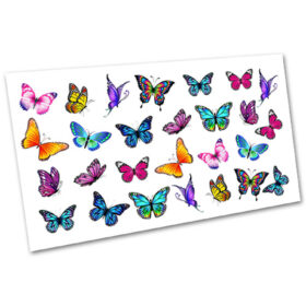 KIT SPRING (6pz) - immagine 7