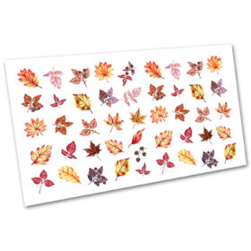KIT AUTUNNO 5 (6pz) - immagine 7