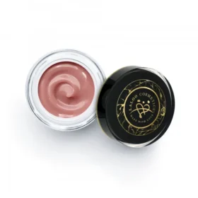 CHAMPION GEL DUSTY COVER 1